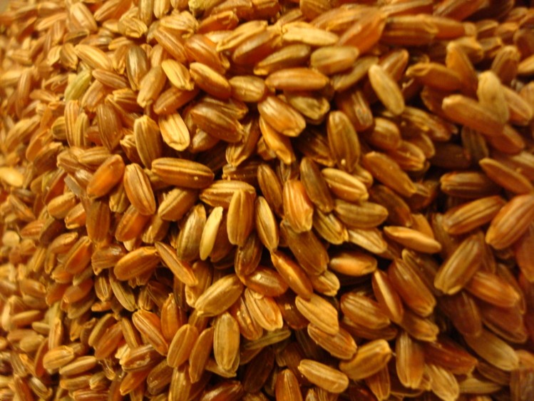 Dry Grass